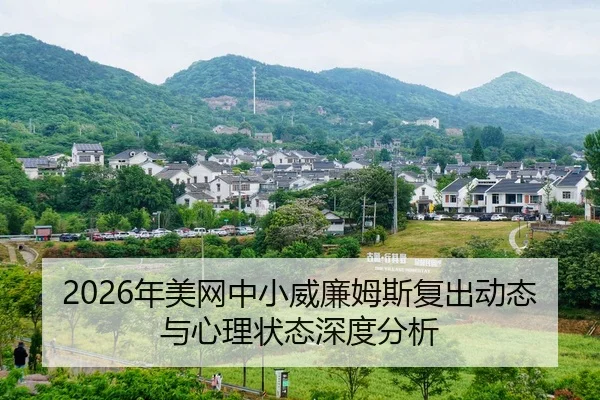 nian-mei-wang-zhong-xiao-wei-lian-mu-si-fu-chu-dong-tai-yu-xin-li-zhuang-tai-shen-du-fen-xi-2-462.jpg