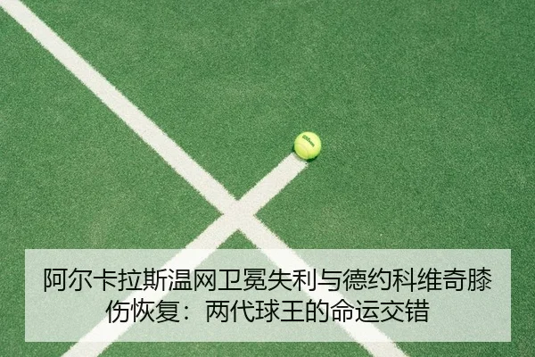 a-er-ka-la-si-wen-wang-wei-mian-shi-li-yu-de-yue-ke-wei-qi-xi-shang-hui-fu-liang-dai-qiu-wang-de-ming-yun-jiao-cuo-2-672.jpg