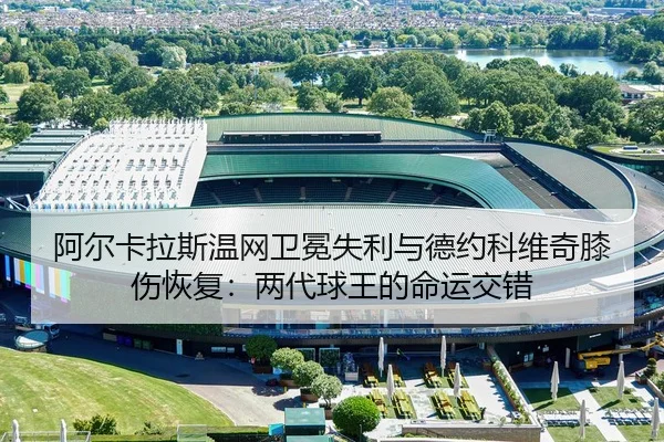 a-er-ka-la-si-wen-wang-wei-mian-shi-li-yu-de-yue-ke-wei-qi-xi-shang-hui-fu-liang-dai-qiu-wang-de-ming-yun-jiao-cuo-3-190.jpg