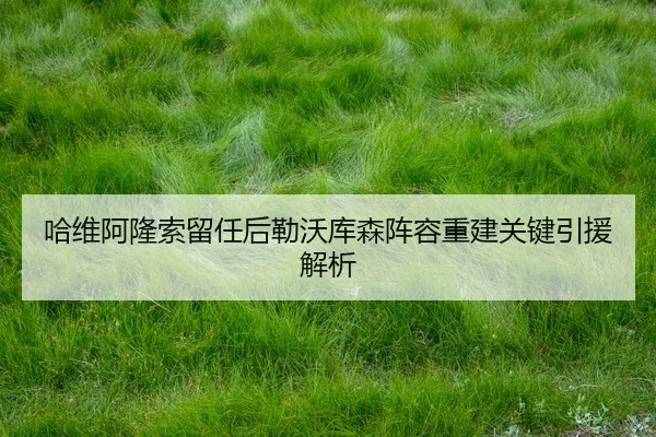 ha-wei-a-long-suo-liu-ren-hou-lei-wo-ku-sen-zhen-rong-chong-jian-guan-jian-yin-yuan-jie-xi-3-595.jpg